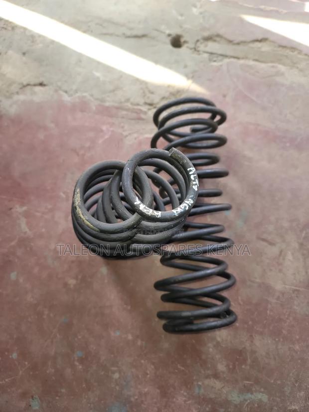 Alto 2015-2018 Heavy Duty Coil Springs