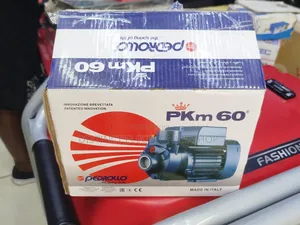 Pedro Booster Water Pump