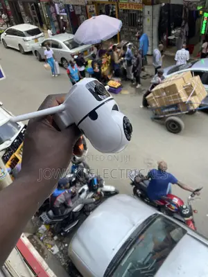 Nanny Cameras