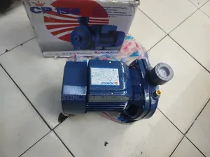 Pedro Booster Water Pump