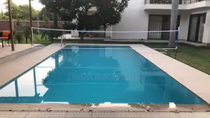 Volleyball Net