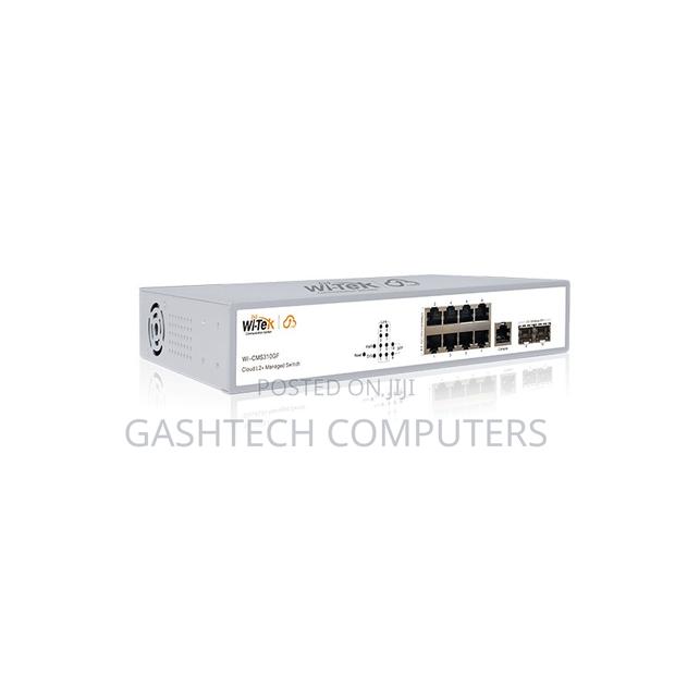 Wi-Tek Wi-Cms310gf