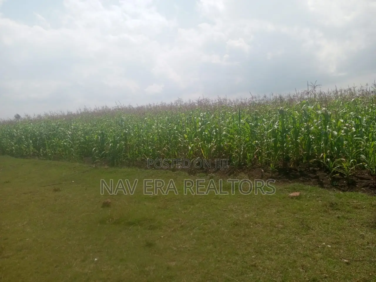 10 Acre Land for Sale at Gwa Kungu Nyandarua