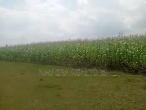 10 Acre Land for Sale at Gwa Kungu Nyandarua