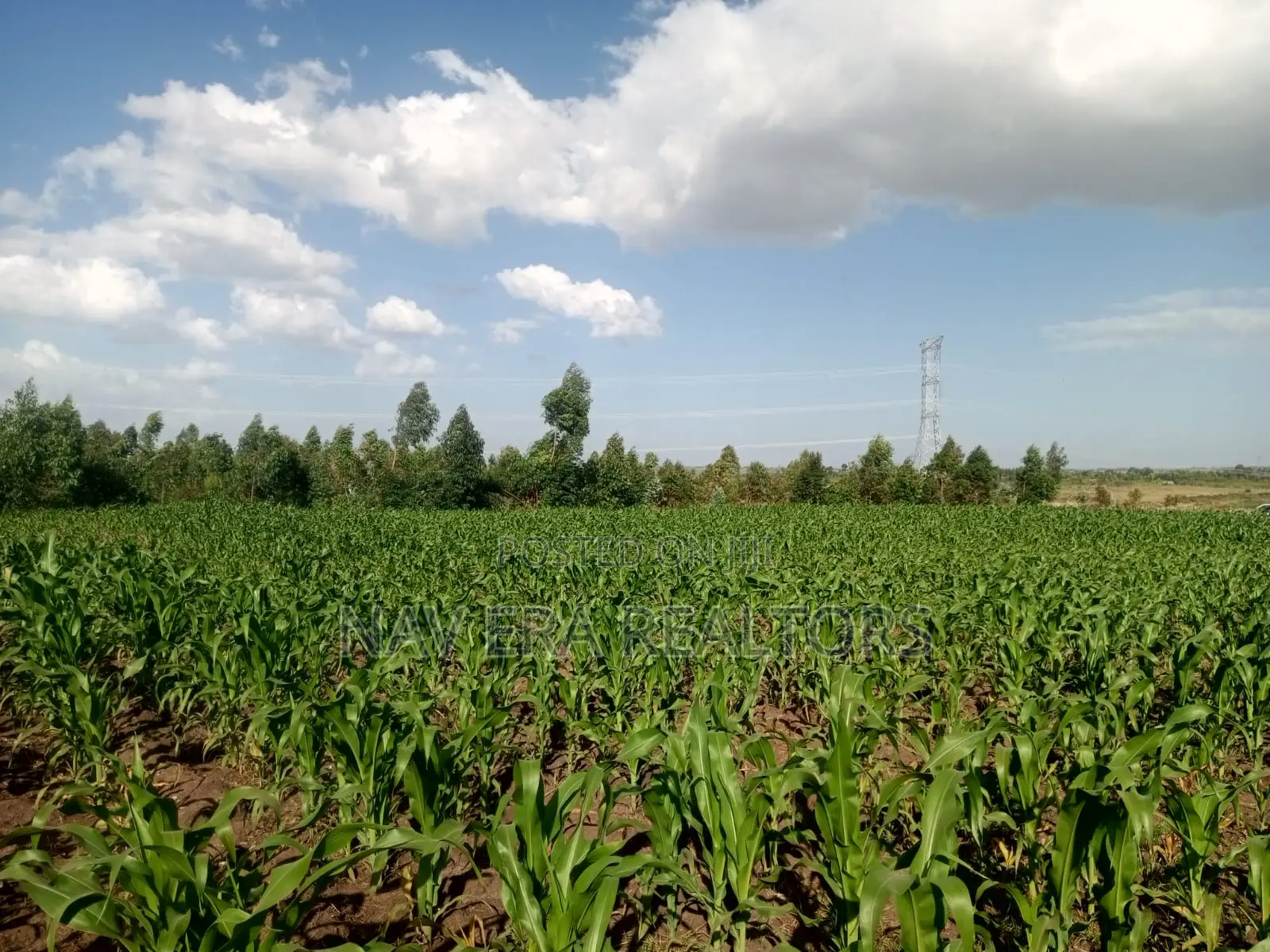 10 Acre Land for Sale at Gwa Kungu Nyandarua