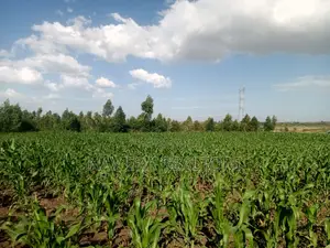 10 Acre Land for Sale at Gwa Kungu Nyandarua