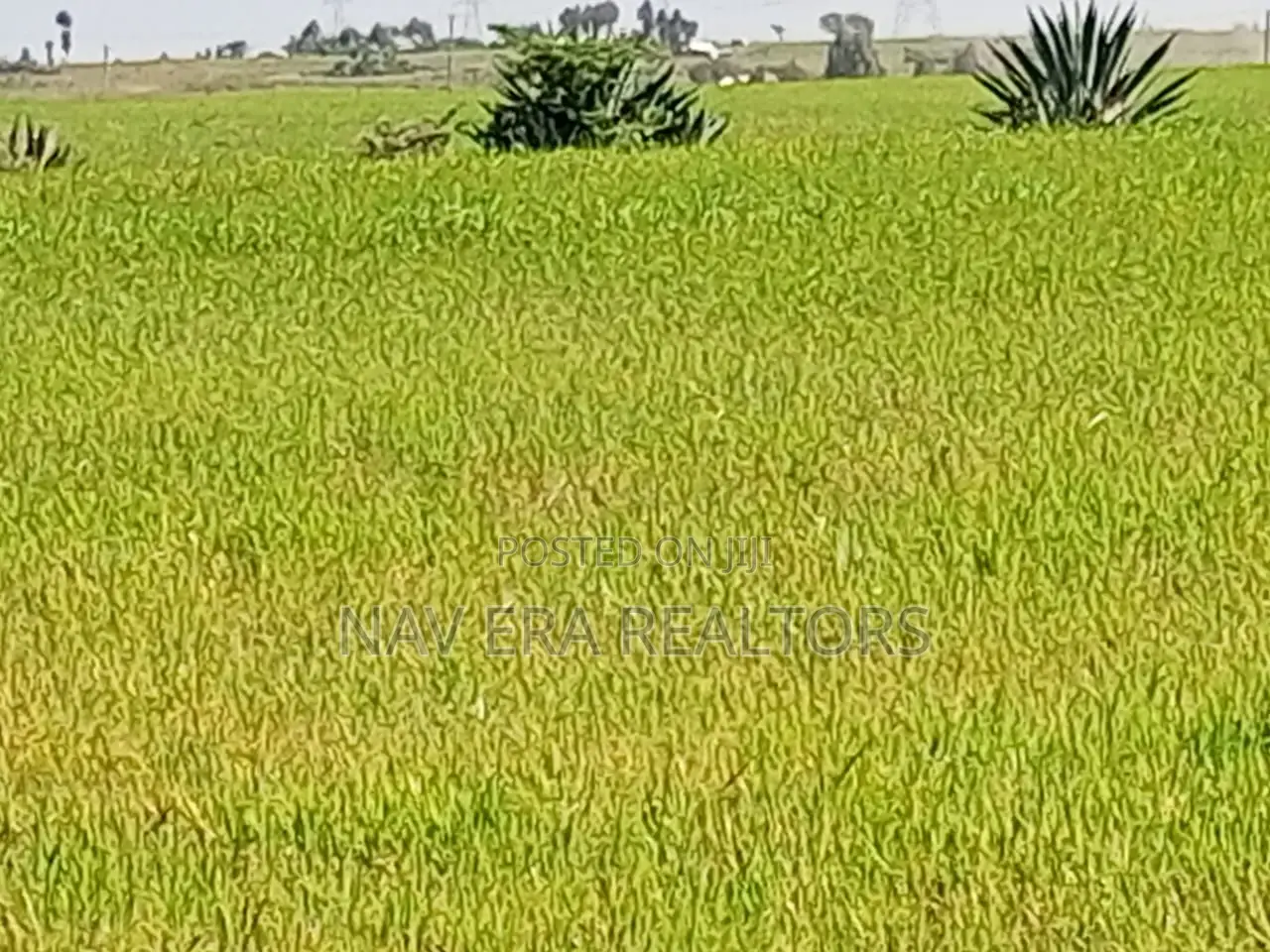 10 Acre Land for Sale at Gwa Kungu Nyandarua