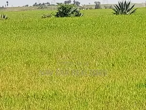10 Acre Land for Sale at Gwa Kungu Nyandarua