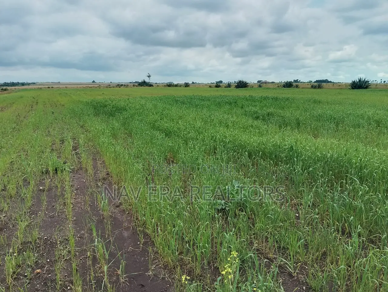 10 Acre Land for Sale at Gwa Kungu Nyandarua