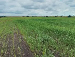 10 Acre Land for Sale at Gwa Kungu Nyandarua