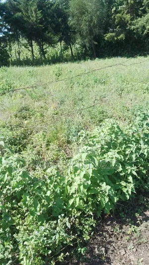 Prime 5 Acres in Kitengela