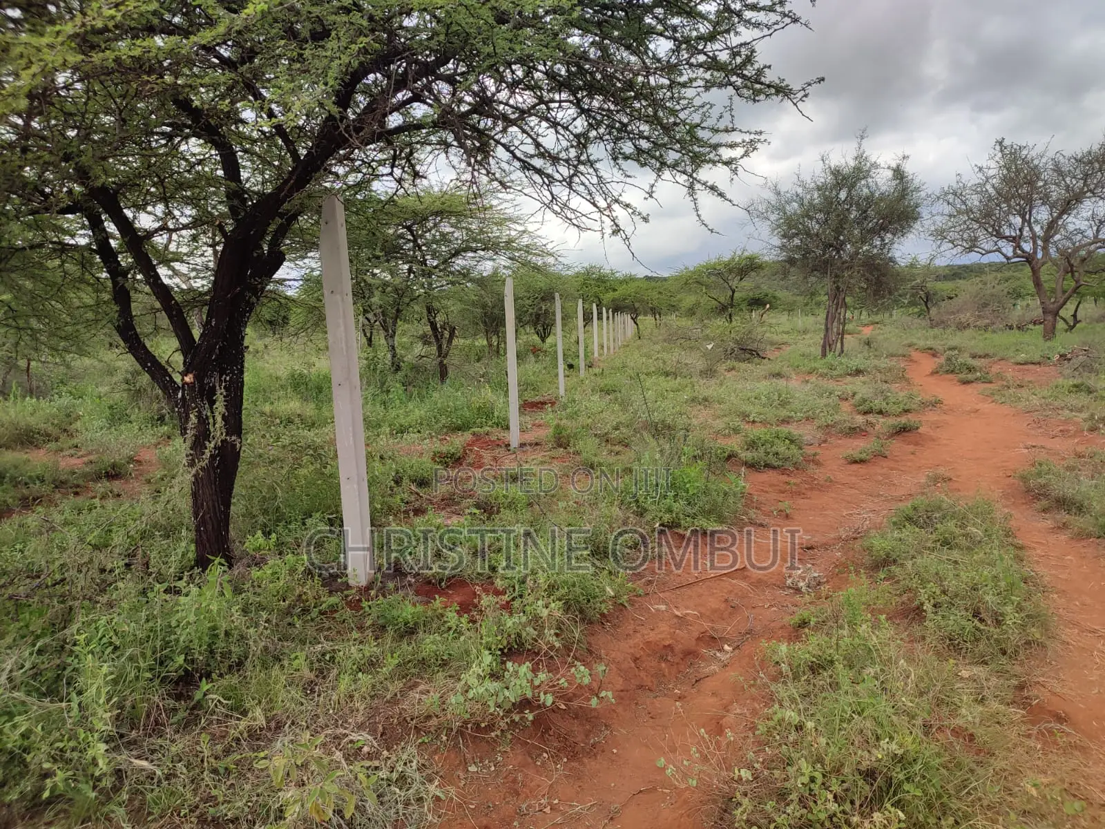 50*100 Plots For Sale, Kimuka Olmaroroi Area