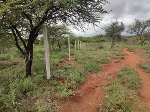 50*100 Plots For Sale, Kimuka Olmaroroi Area