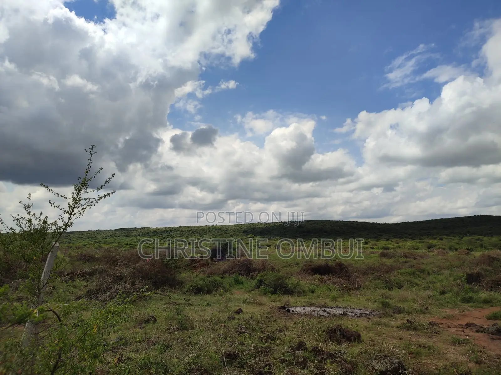 50*100 Plots For Sale, Kimuka Olmaroroi Area