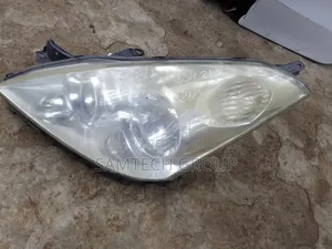 Clean Toyota Wish 2003 Headlights