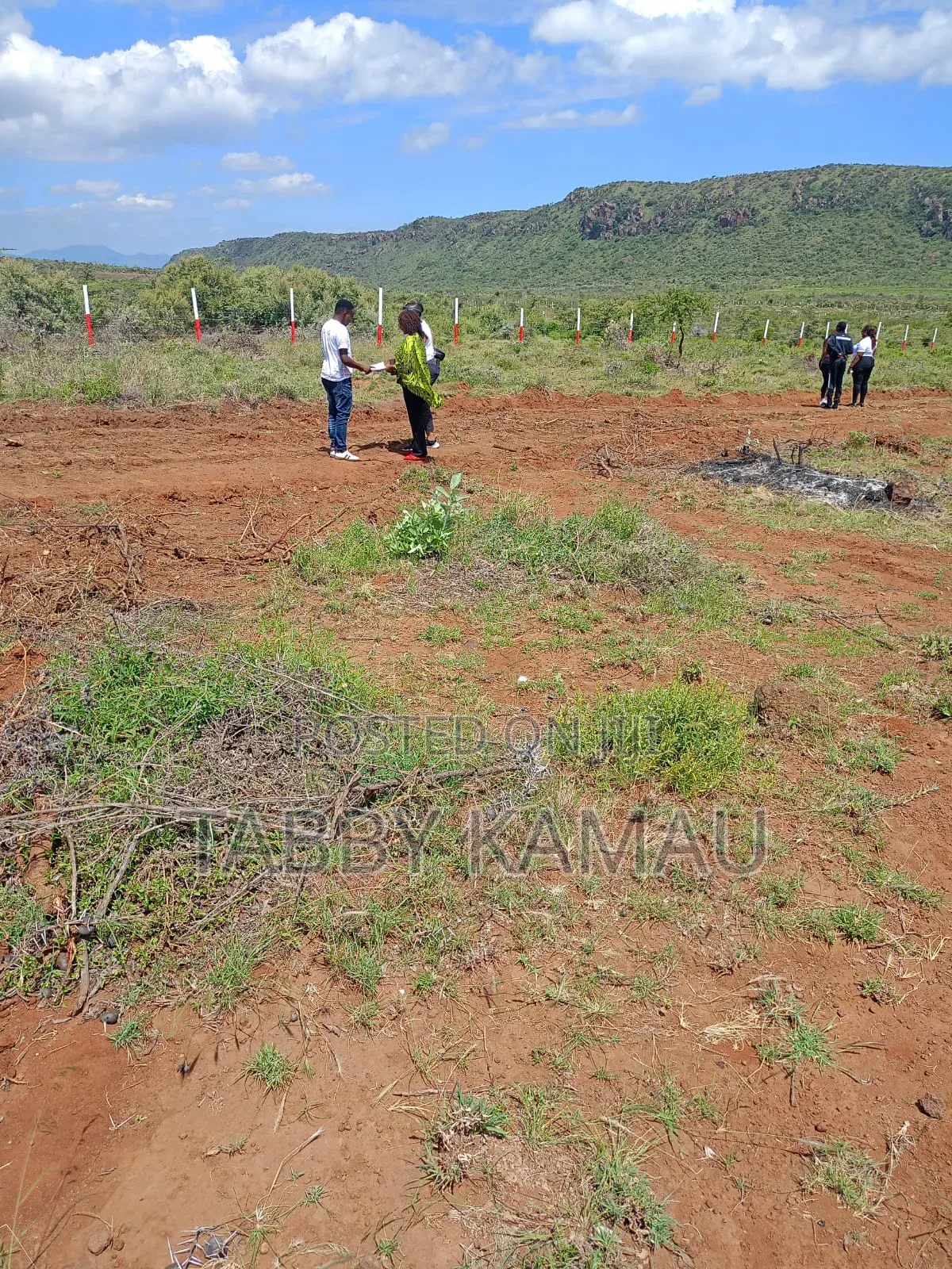 Nachu Plots at
