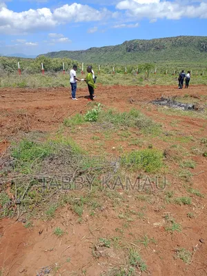 Nachu Plots at