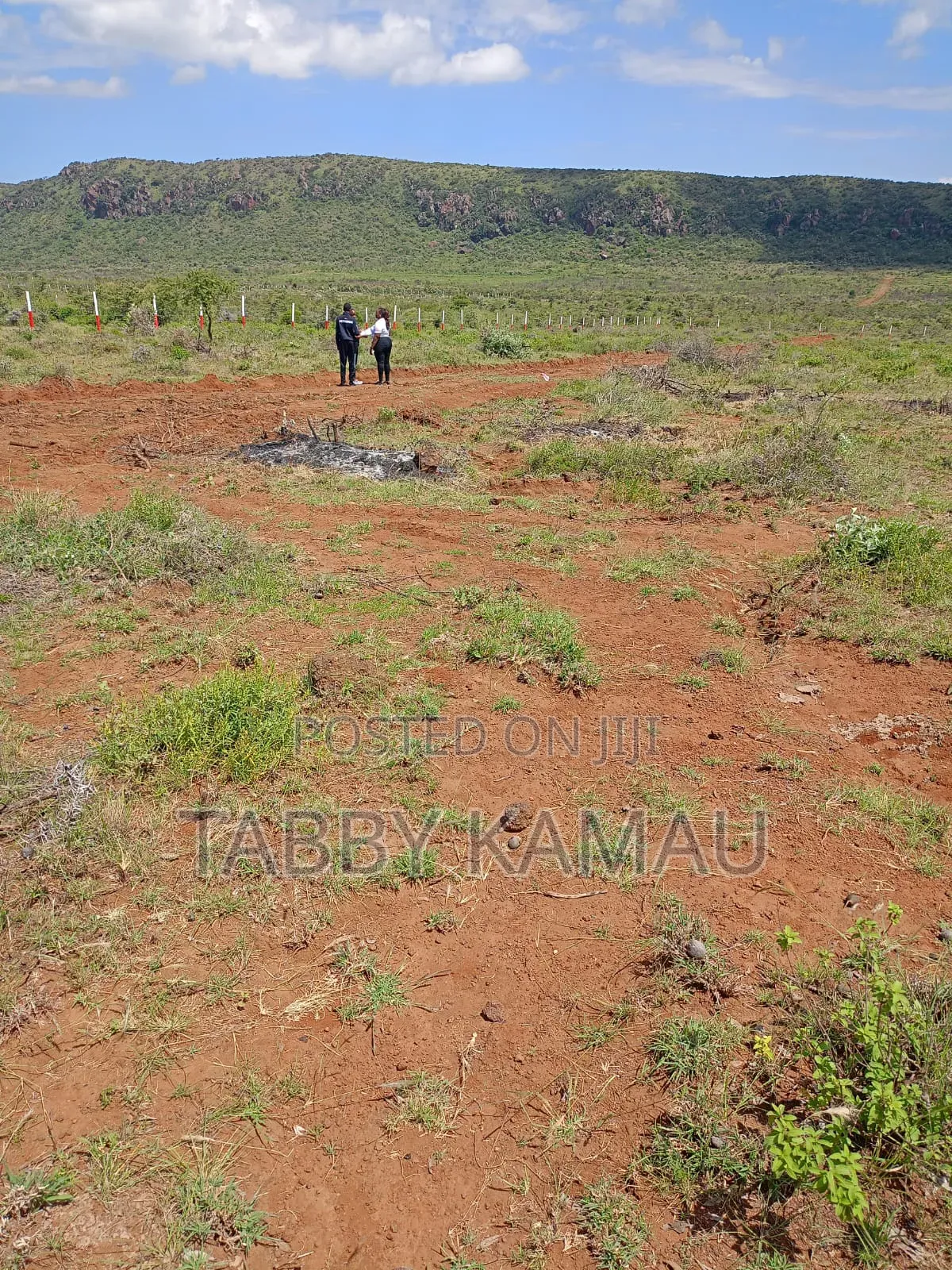 Nachu Plots at