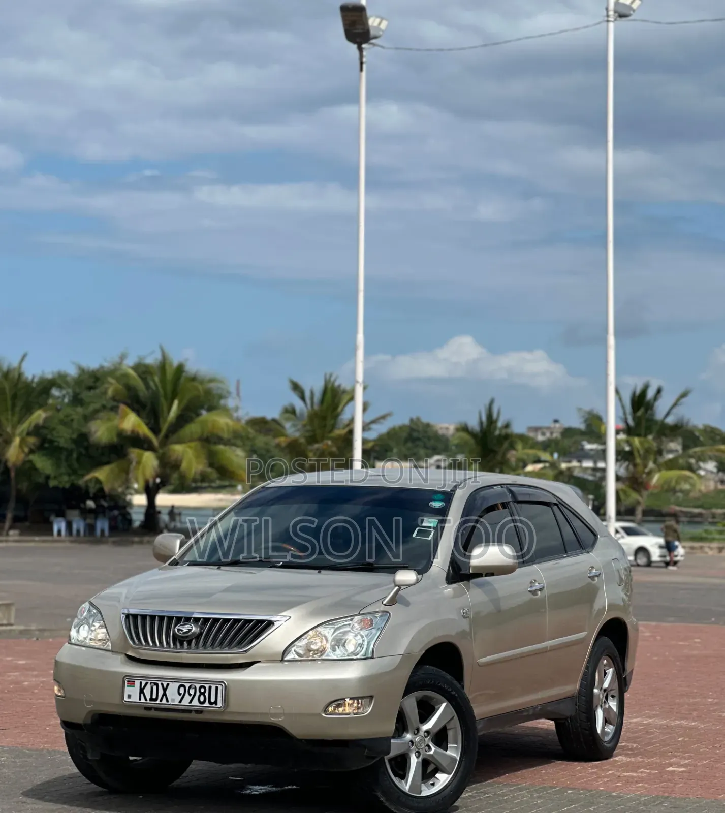 Toyota Harrier 2008 Gold