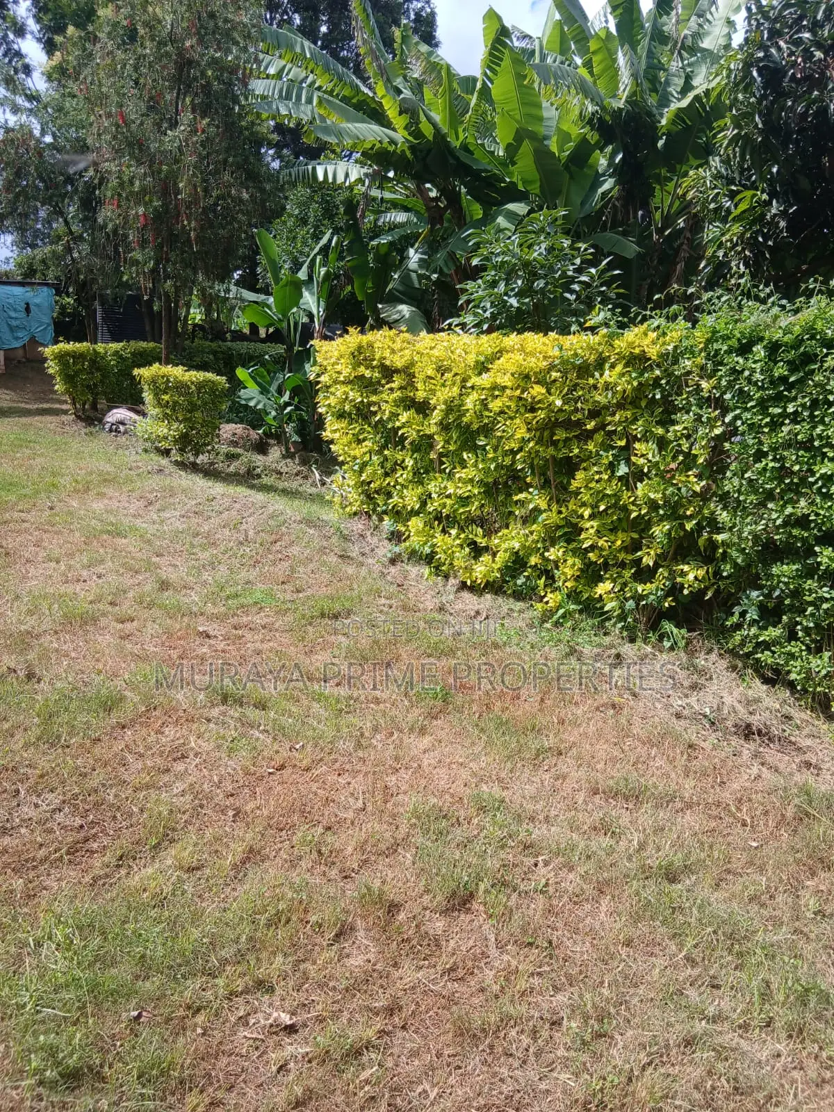 Prime Quarter Acre for Sale – Kerarapon Drive