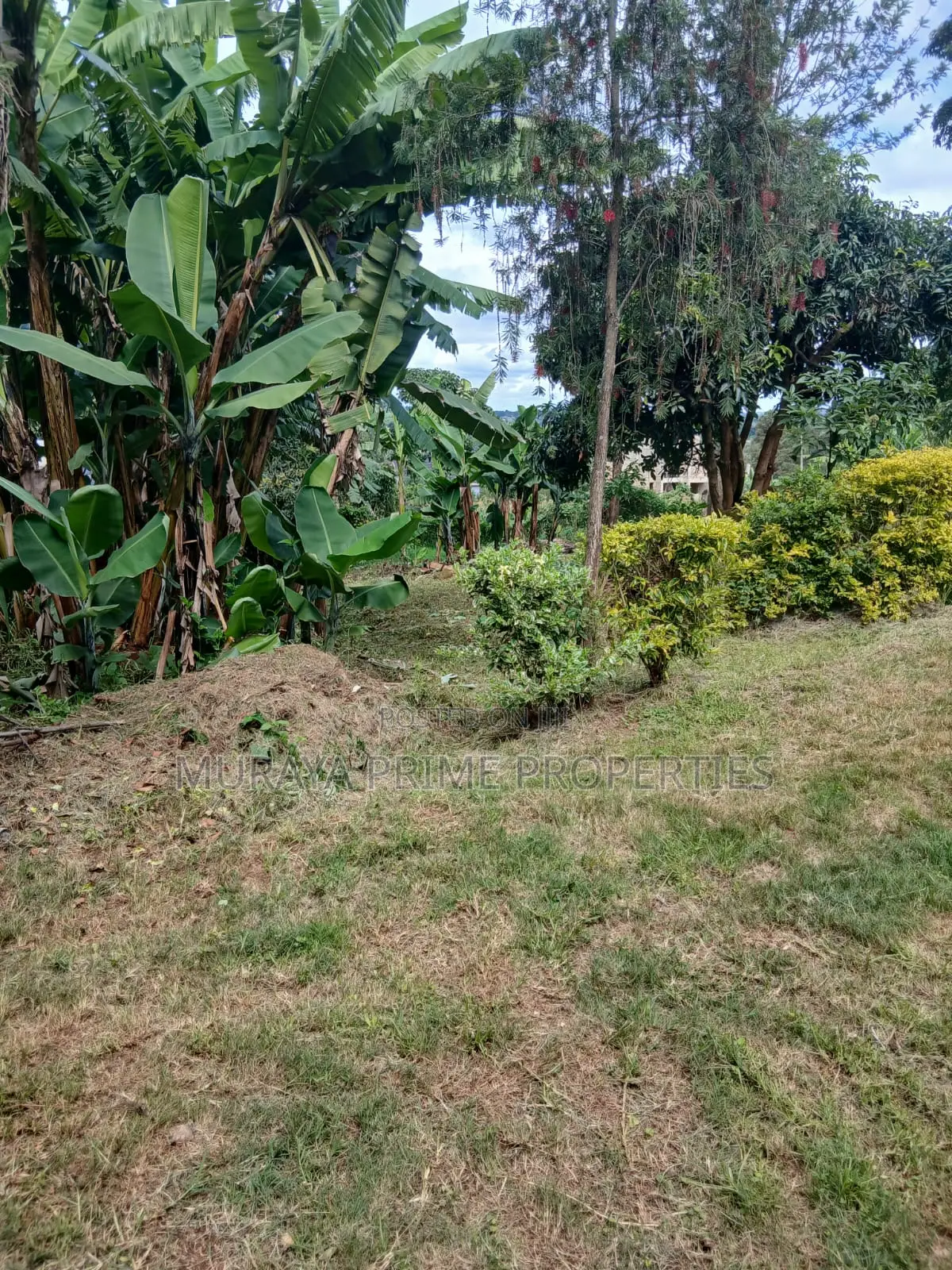 Prime Quarter Acre for Sale – Kerarapon Drive