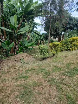 Prime Quarter Acre for Sale – Kerarapon Drive