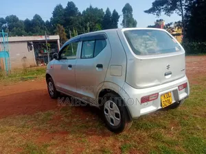 Suzuki Alto 2017 Silver