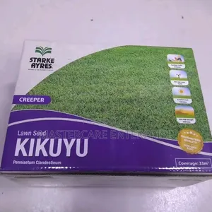 Lawn Seeds Kikuyu Grass 500 Grams