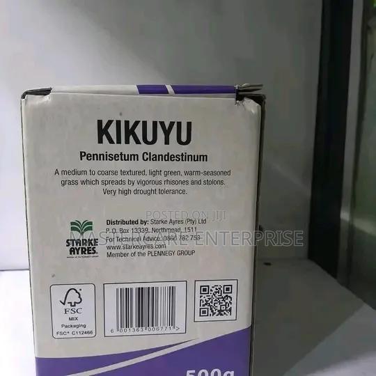 Lawn Seeds Kikuyu Grass 500 Grams - thumbnail 2