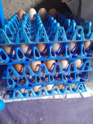 Kienyeji Eggs Available