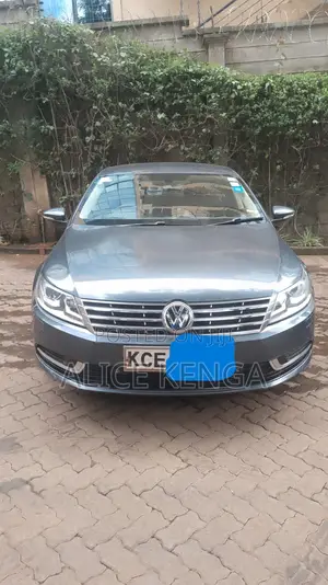 Volkswagen Passat 2014 Gray