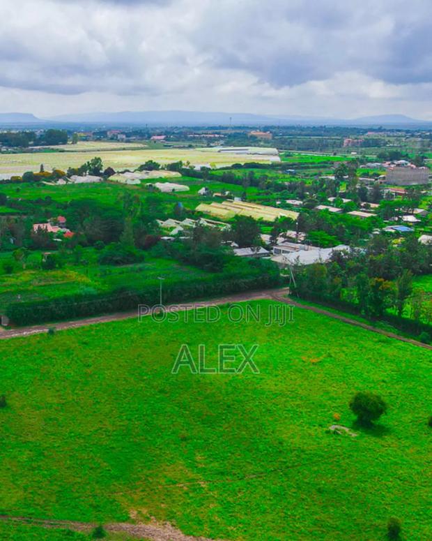 Eastafrica Lands and Plots