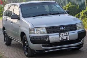 Toyota Probox 1.3 DX 2WD 2012 Silver