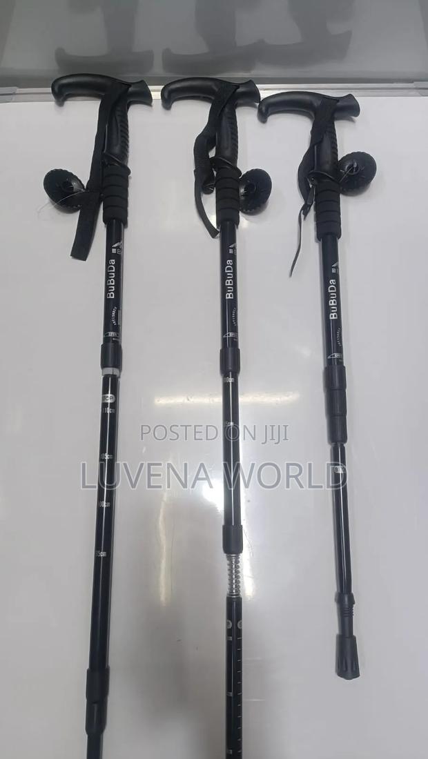 Hiking Sticks
