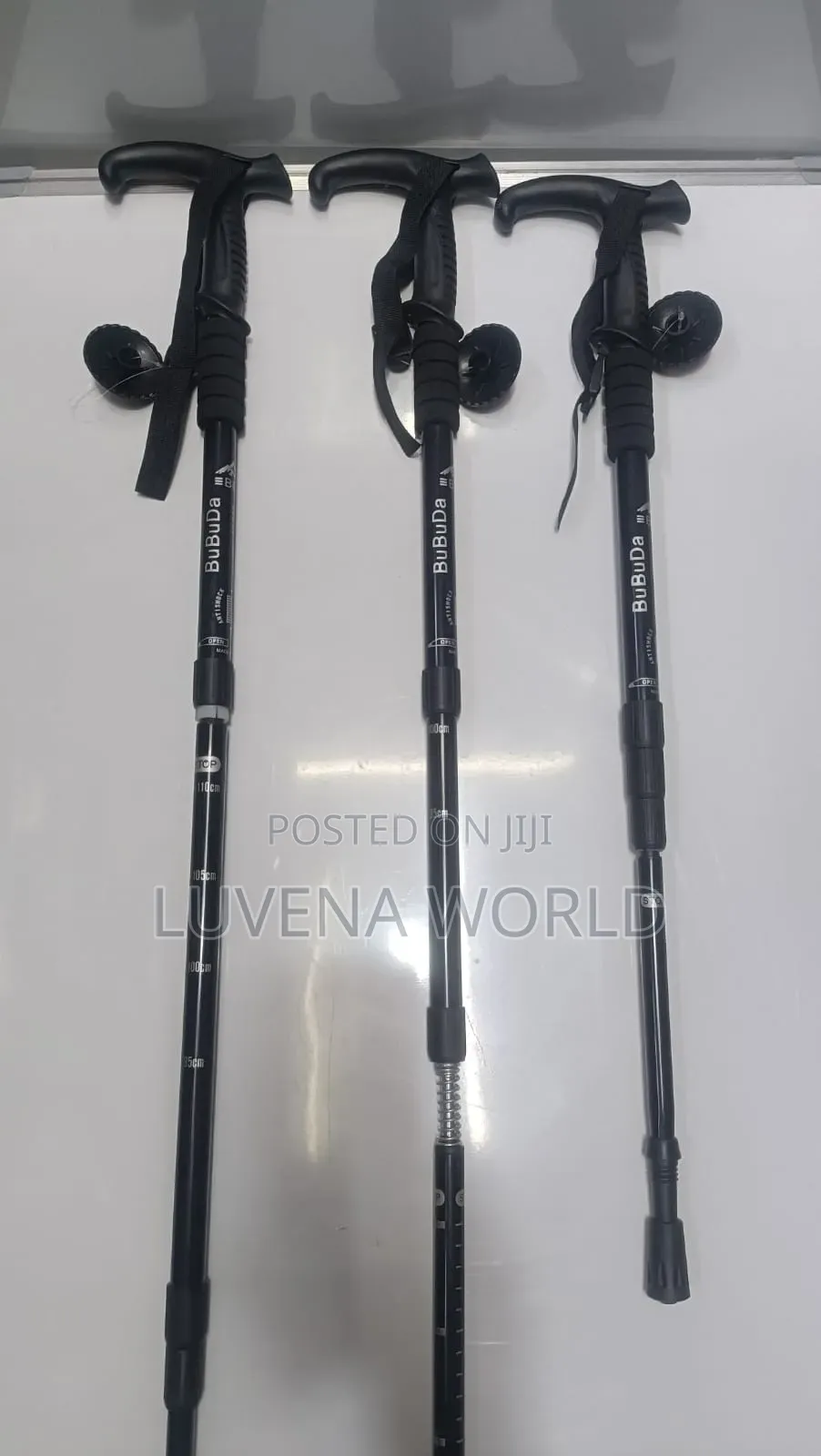Hiking Sticks
