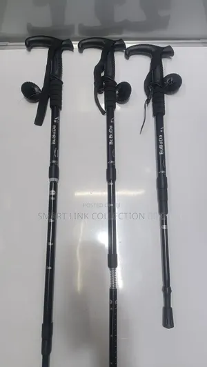 Hiking Sticks