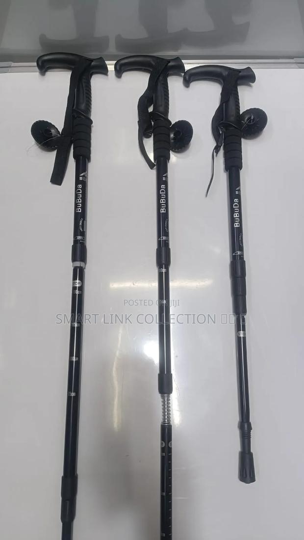 Hiking Sticks - thumbnail 2