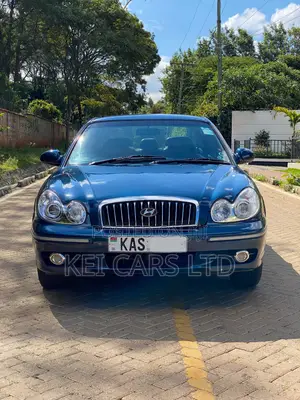 Hyundai Sonata Base w/2.7L V6 2004 Blue