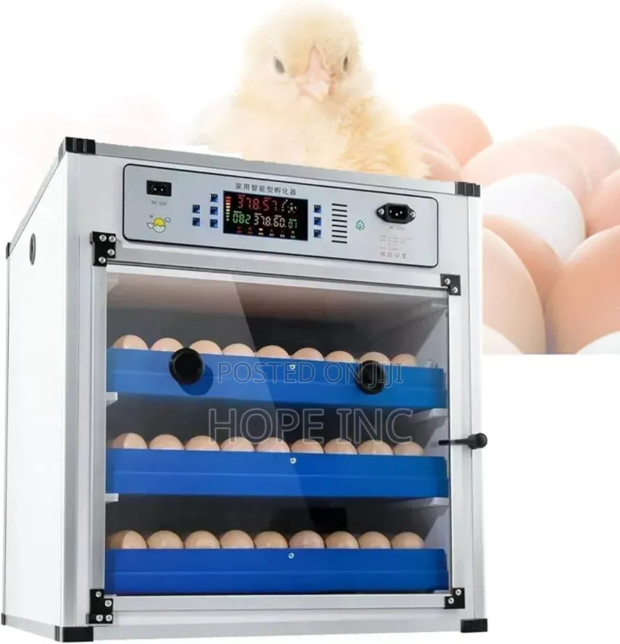204 Egg Incubator Ac/Dc Full Automatic