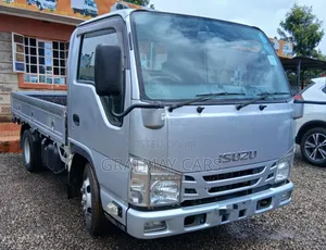 Isuzu Elf 2019 Silver