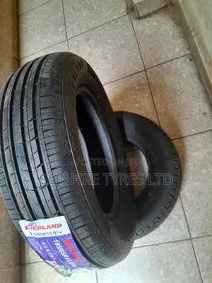 195/65r15 Everland