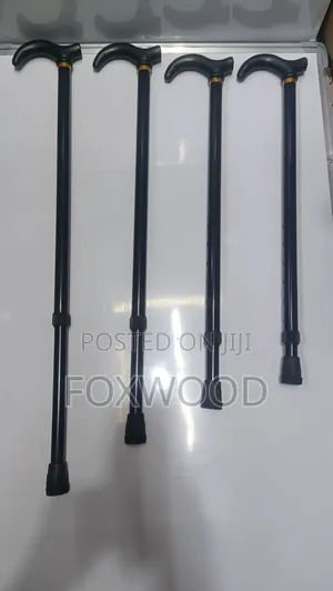Kids Walking Sticks