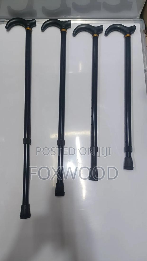 Kids Walking Sticks