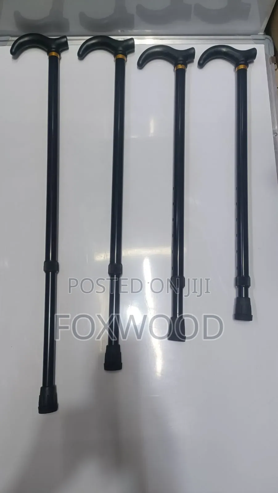 Kids Walking Sticks