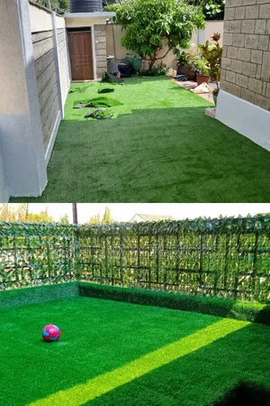 Always Green, Always Perfect Turf Grass