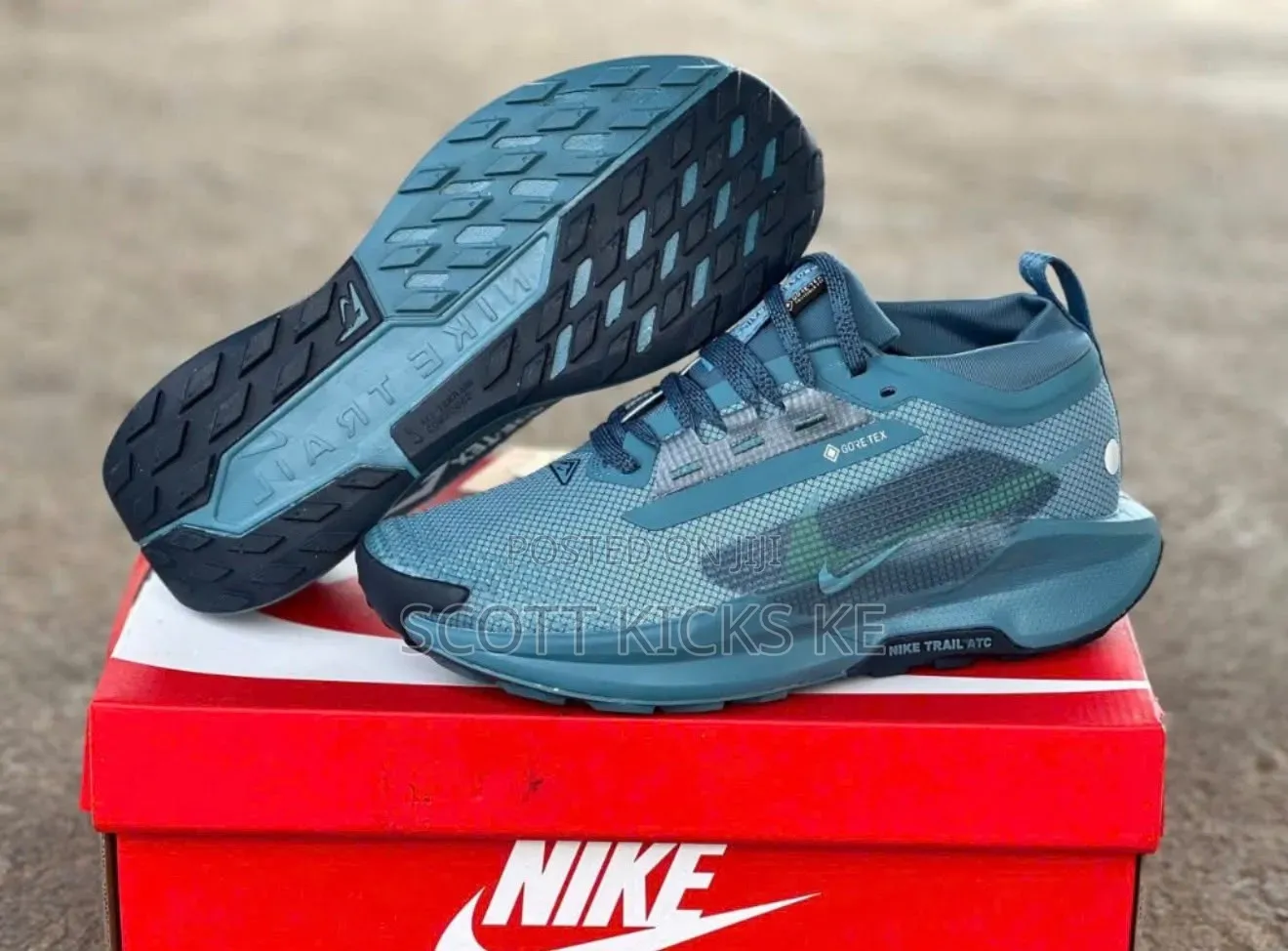 Nike Pegasus Trail 5 Goretex