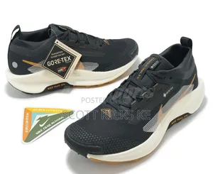 Nike Pegasus Trail 5 Goretex