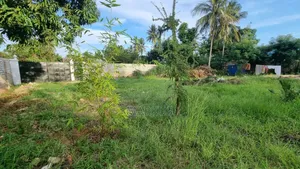 Absolute Quarter Acre With Perimeter Wall
