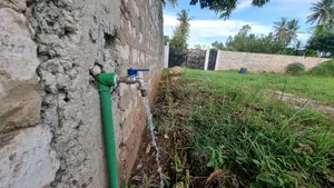 Absolute Quarter Acre With Perimeter Wall