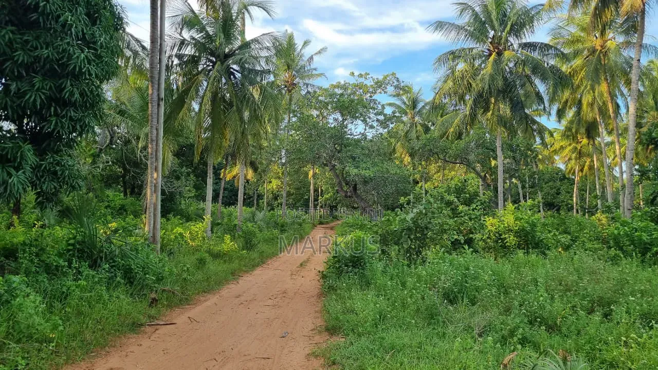 Absolute Quarter Acre With Perimeter Wall